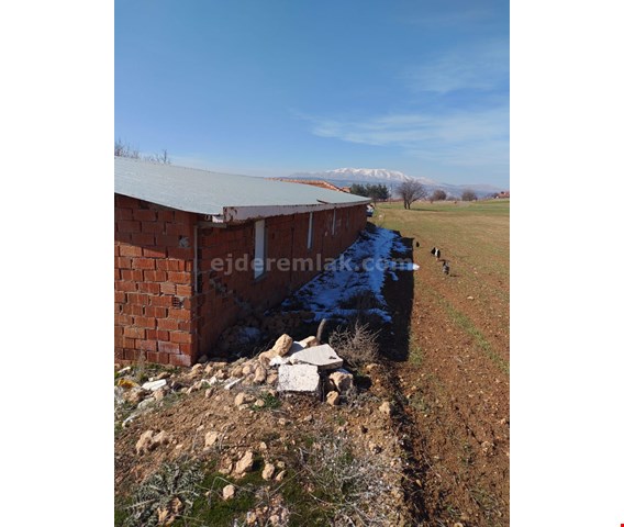 ÇAL DENİZLER ÇEVRE YOLU DENİZLER GİRİŞİ YAN TARAFI TARLA EV VE KÜÇÜK BAŞ ÇİFTLİK 2 MİNYON 500 BİN TL