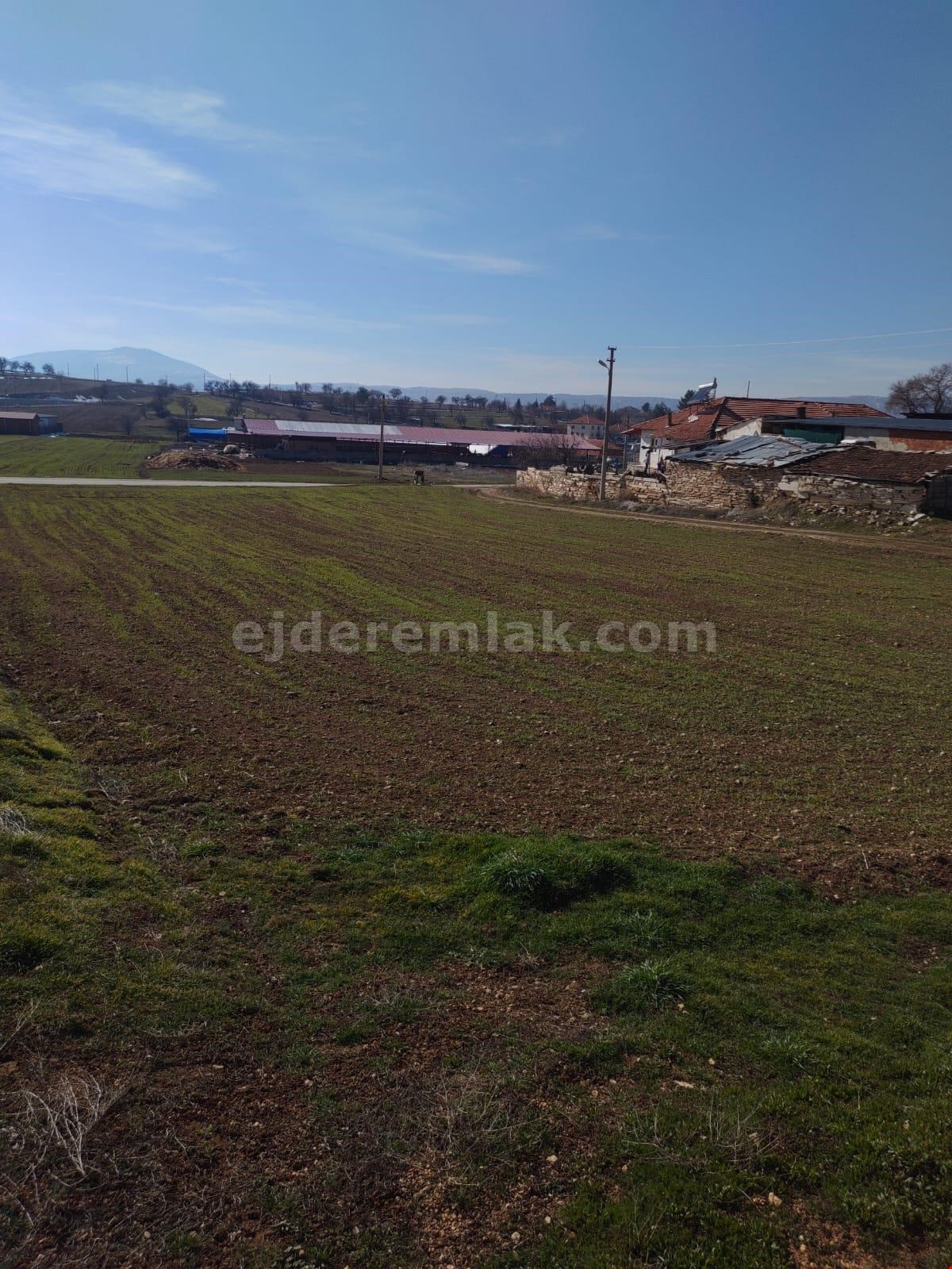 ÇAL DENİZLER ÇEVRE YOLU DENİZLER GİRİŞİ YAN TARAFI TARLA EV VE KÜÇÜK BAŞ ÇİFTLİK 2 MİNYON 500 BİN TL