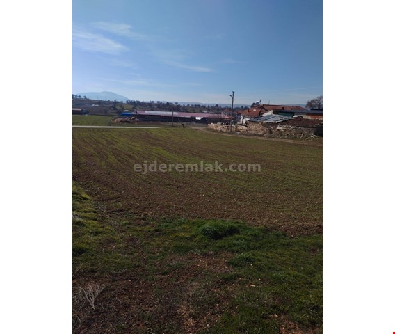 ÇAL DENİZLER ÇEVRE YOLU DENİZLER GİRİŞİ YAN TARAFI TARLA EV VE KÜÇÜK BAŞ ÇİFTLİK 2 MİNYON 500 BİN TL